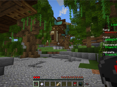 TropicMC Projekt